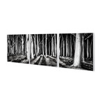 Great White Forest (20"W x 20"H x 0.5"D)