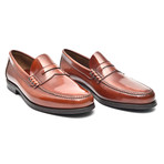 Rubber Sole Penny Loafer // Redwood (Euro: 41)