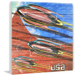 USA Rockets (18"W x 18"H x 1.5"D)