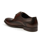 Pissaro Embelished Wing Tip Derby // Brown (US: 8)