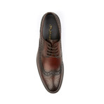 Pissaro Embelished Wing Tip Derby // Brown (US: 8)