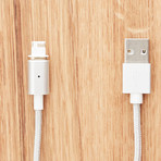 Connect Cable + Tip // Silver (Alpha (Lightning))