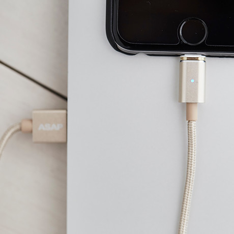 Connect Cable + Tip // Gold (Alpha (Lightning))