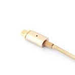 Connect Cable + Tip // Gold (Alpha (Lightning))