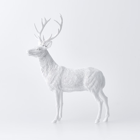 Buck // White