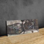 Reclining Nude (Print // 32"W x 12"H)