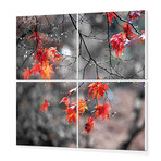 Branches and Leaves (20"W x 20"H x 0.5"D)