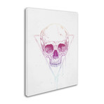 Skull In Triangle // Canvas (14"W x 19"H x 2"D)