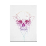 Skull In Triangle // Canvas (14"W x 19"H x 2"D)