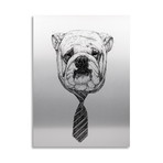 Bulldog // Aluminum