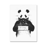 Bad Panda // Canvas (14"W x 19"H x 2"D)