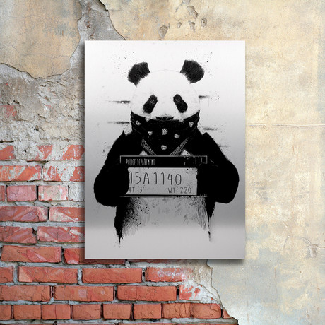Bad Panda // Aluminum
