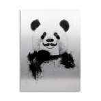 Funny Panda // Aluminum