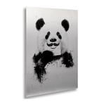 Funny Panda // Aluminum