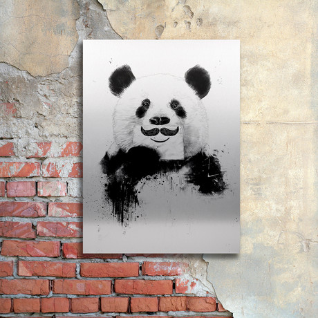 Funny Panda // Aluminum