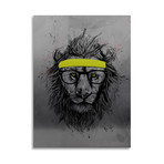 Hipster Lion // Aluminum