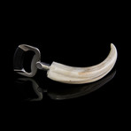 Warthog Ivory Tusk // Bottle Opener