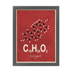 Molecule Estrogen // Red (Stone Wood Frame)