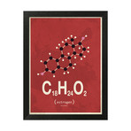 Molecule Estrogen // Red (Stone Wood Frame)