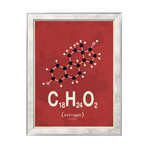 Molecule Estrogen // Red (Stone Wood Frame)