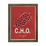 Molecule Estrogen // Red (Stone Wood Frame)