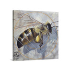 New Bee (24"L x 24"W x 1.25"D)