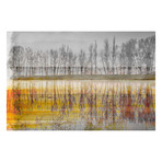 Yellow Lake Reflection Print on Wrapped Canvas (8"H x 12"W x 1.5"D)