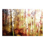 Golden Light Spots Print on Wrapped Canvas (8"H x 12"W x 1.5"D)