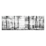 Forest White Print on White Wood (15"H x 45"W x 1.5"D)