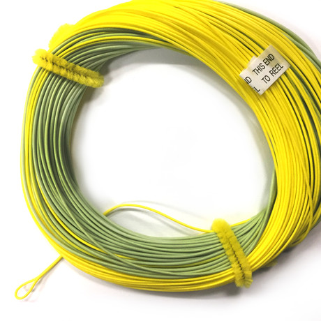 EB Series Fly Line // Weight Forward (WF4F)