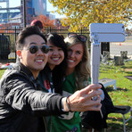 SnapStyk // iPhone 6/6s (Gold)