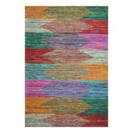 Armando // Multi Rug (5'L x 7'W)