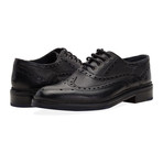 Hapton Wing Tip Brogue Derby // Black (UK: 11)