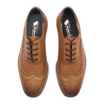 Hapton Wing Tip Brogue Derby // Tan (UK: 6)