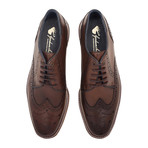 Chatburn Wing Tip Derby // Brown (UK: 12)