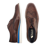 Chatburn Wing Tip Derby // Brown (UK: 12)