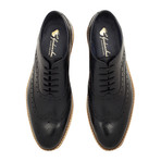 Barley Wing Tip Brogue Oxford // Black (UK: 12)