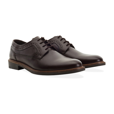 Addison Brogue // Brown (UK: 7)