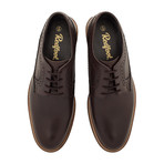 Addison Brogue // Brown (UK: 7)
