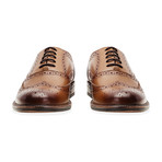 Albert Brogue // Tan (UK: 7)