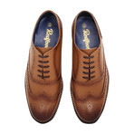 Albert Brogue // Tan (UK: 7)