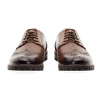 James Brogue // Tan (UK: 7)