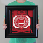 Georgia Dome (Unframed)