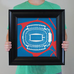 Ralph Wilson Stadium (Unframed)