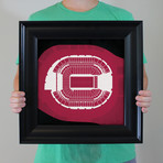 Univeristy of Phoenix Stadium (Unframed)