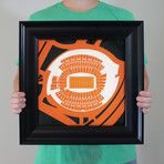 Paul Brown Stadium (Unframed)