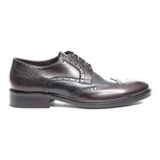 Guiglia Wingtip Brogue // Blue (Euro: 39)