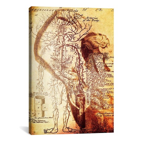 Victorian Anatomy // iCanvas (18"W x 26"H x 0.75"D)