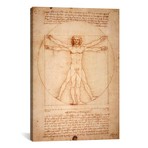 Vitruvian Man, c. 1490 // Leonardo da Vinci (26"W x 40"H x 1.5"D)