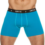 Boxer Brief // Blue (Small)